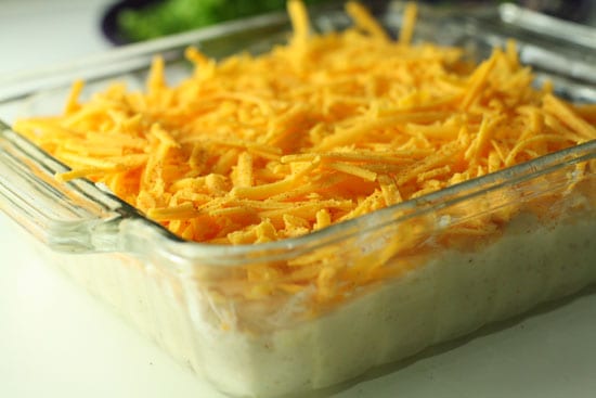Dip with cheese.