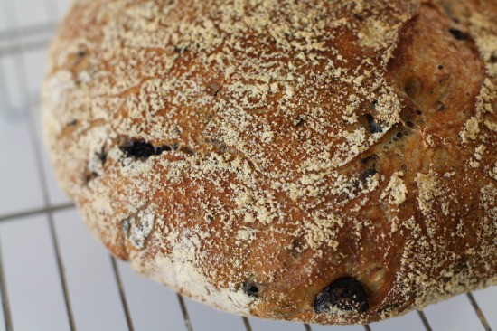 Crusty and Delicious olive bread!