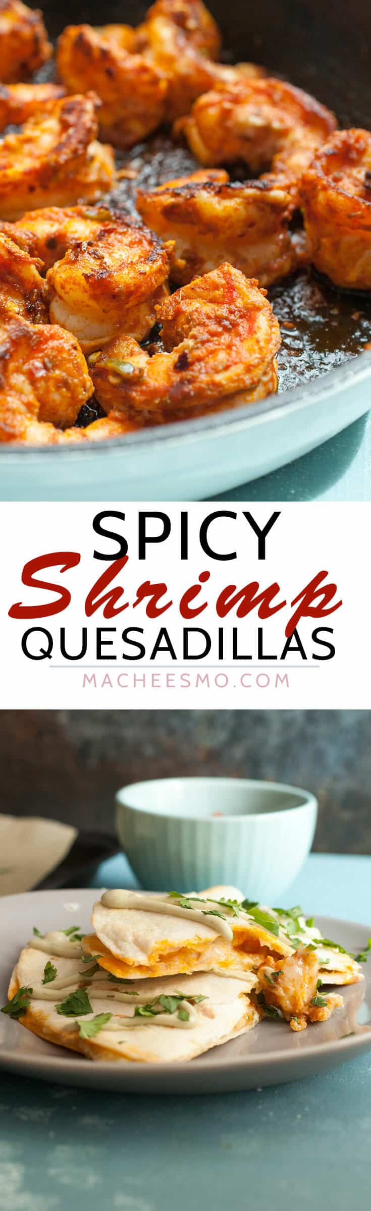 Spicy Shrimp Quesadilla Recipe