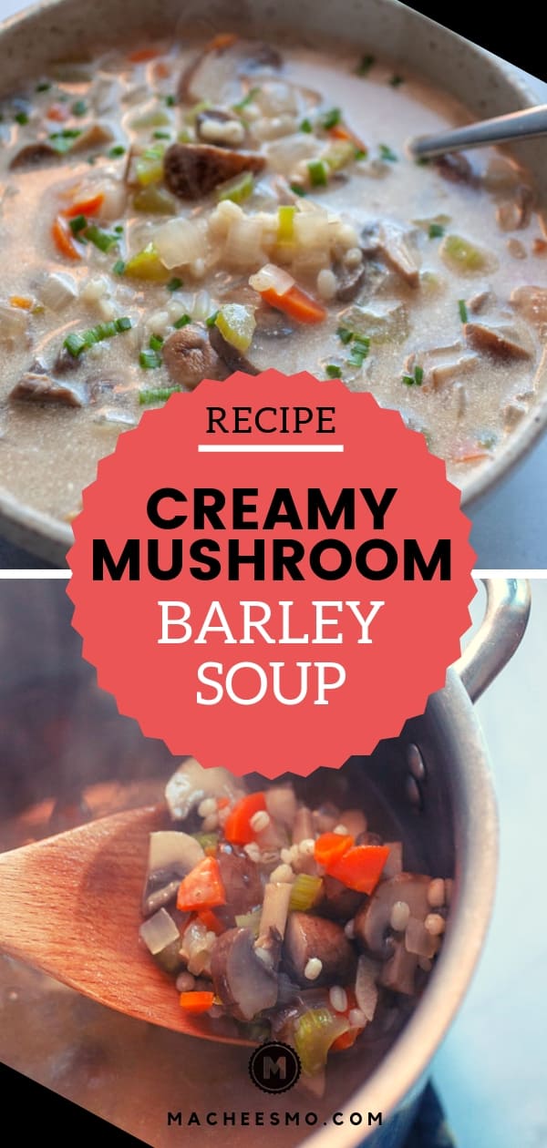 Creamy Mushroom Barley Soup