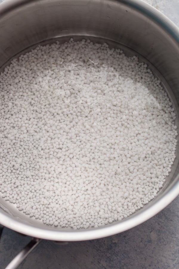 Fruit Tapioca Pudding