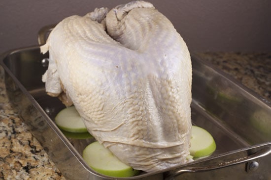 apples - Apple Cider Brined Turkey