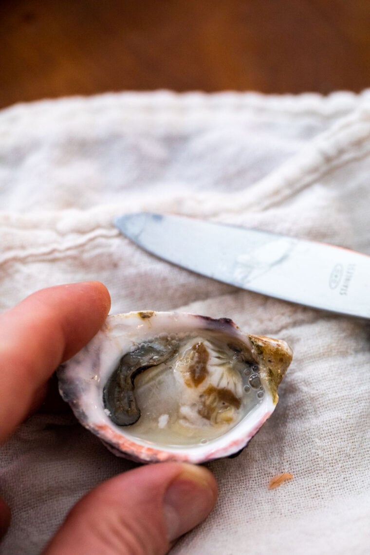 Shucking one oyster.