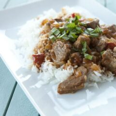 vindaloo