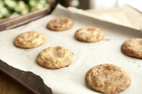 Done deal - Coconut Snickerdoodles