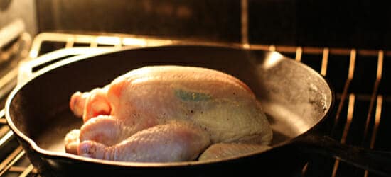 chickeninoven_550