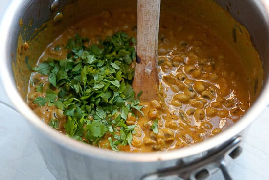 Cilantro for curry.