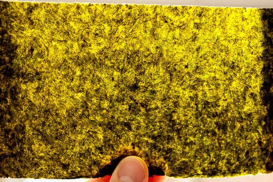 seaweed sheets.