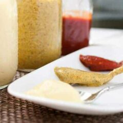 Three 5-minute Condiments: You can make delicious ketchup, mustard, and mayonnaise at home in just a few minutes with the right recipe and right technique! Be sure to check out the post for my immersion blender mayo trick!