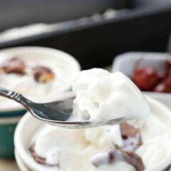 Tangy Frozen Yogurt: This quick tangy frozen yogurt recipe is so much faster and easier to make than ice cream! It has a rich, creamy texture. I like to keep the actual recipe simple and then jazz it up with fun toppings! Can you say FRO-YOOO!