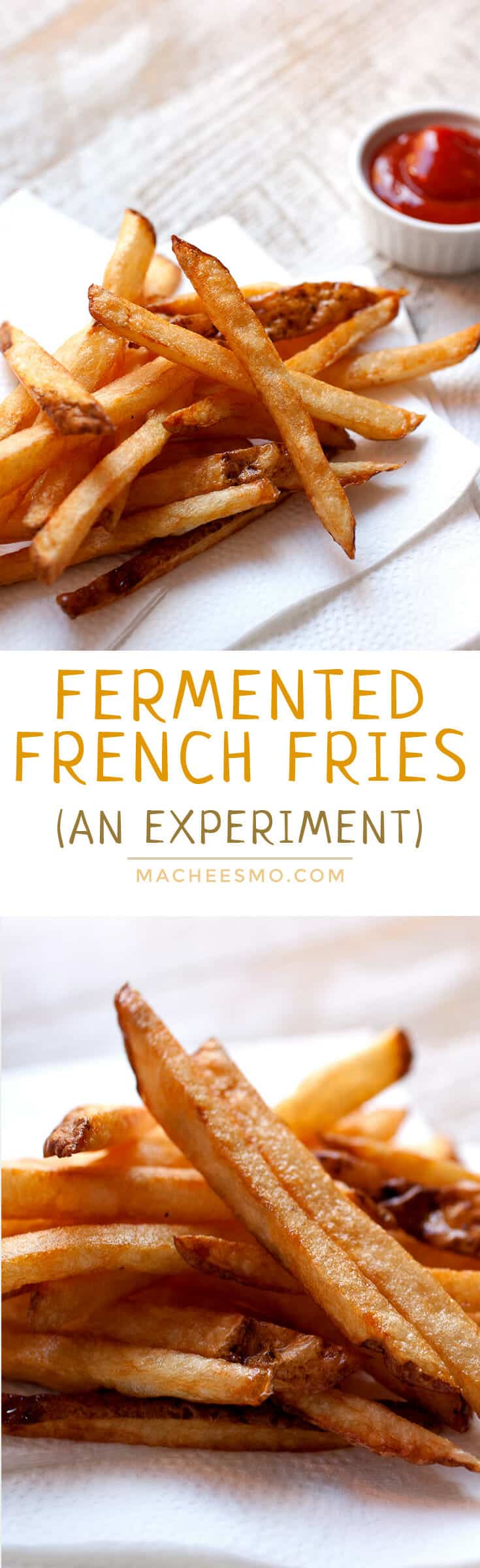 Fermented French Fries: Brined and fermented potatoes double fried for perfectly seasoned and crispy fries. No extra salt needed! These are really delicious, but are they worth the work?!! Check out the post for my full breakdown! | macheesmo.com