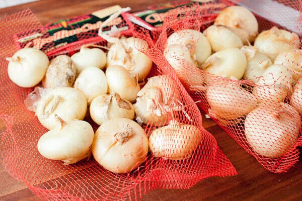 Bite Sized Blooming onions prep