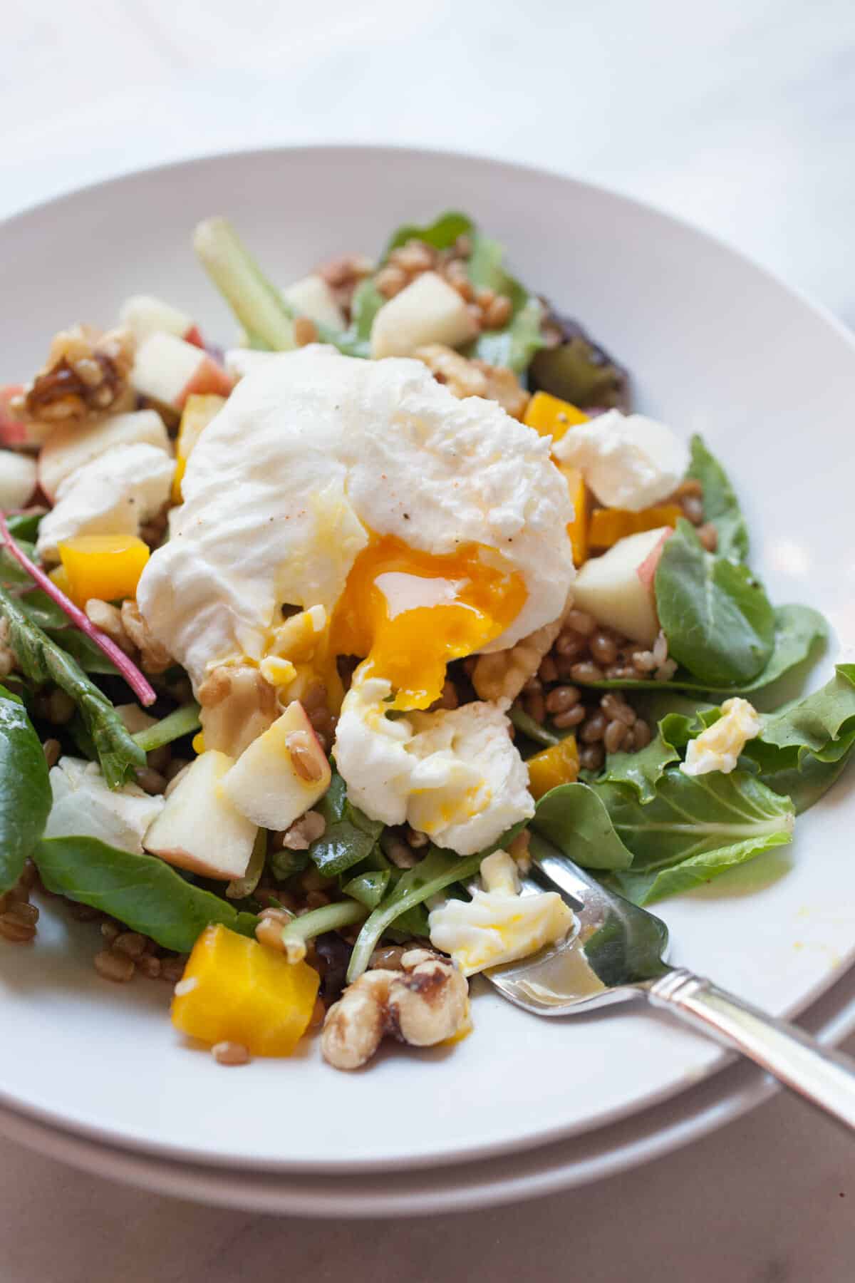 Fall Crunch Salad: This is the kind of salad I love this time of year. It's hearty, has loads of veggies and textures, plus creamy goat cheese and a tangy apple dressing. For a bonus, you can top it with an egg! | macheesmo.com