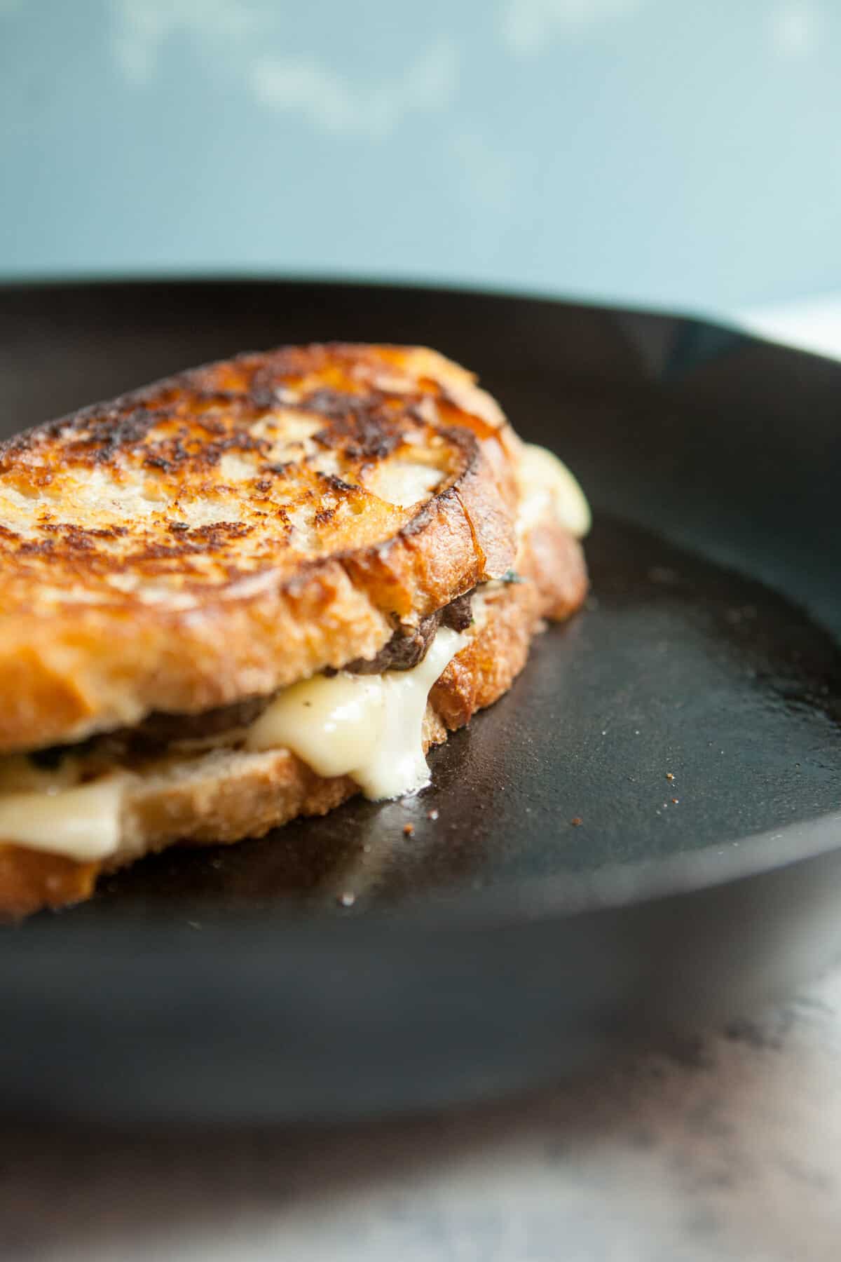 Spinach Fontina Patty Melt