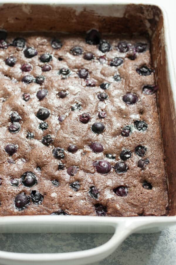 Fudgy Blueberry Brownies