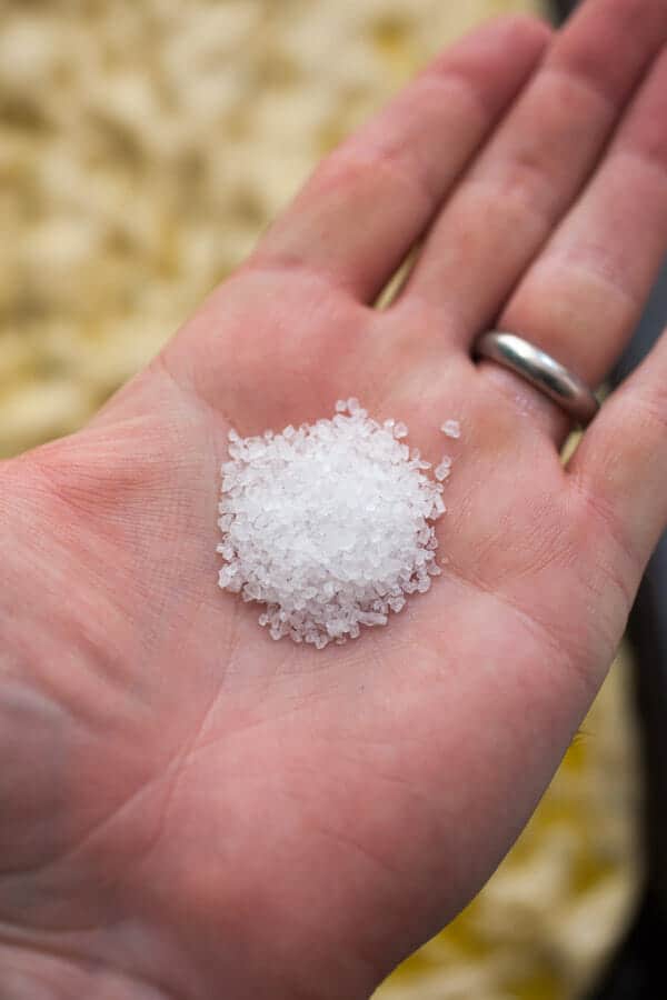 Thanksgiving Focaccia