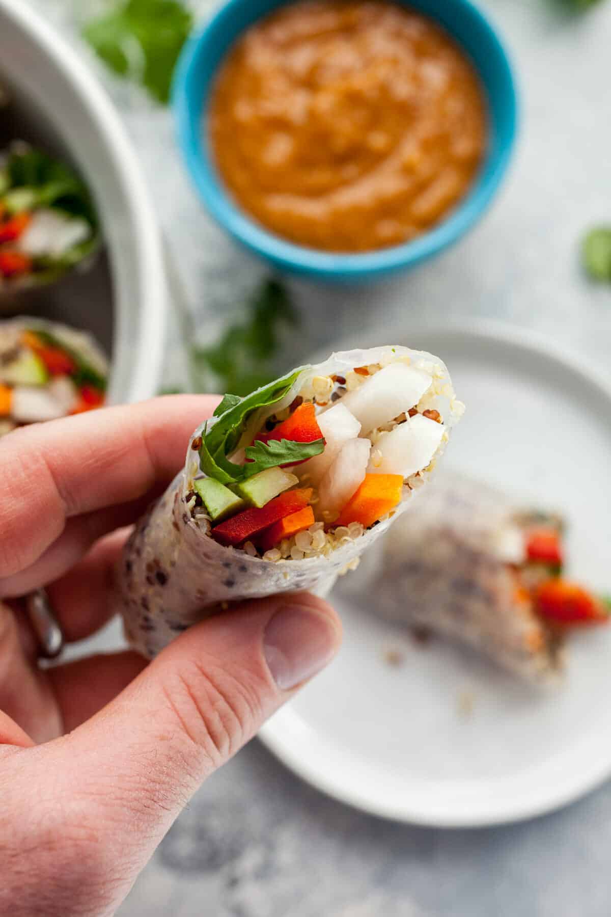 Thai Spring Rolls