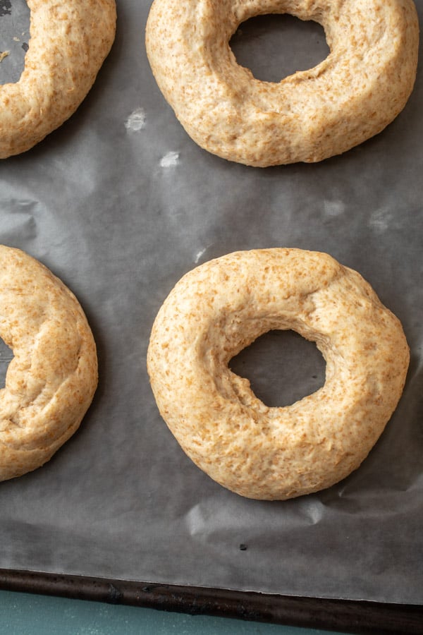 Rested again - Pizza Dough Bagels