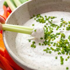 Homemade Ranch Veggie Dip