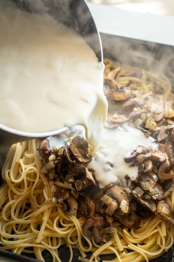 Sauce over pasta for tetrazzini