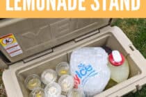 Pandemic Lemonade Stand