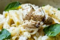 Chicken Alfredo Penne