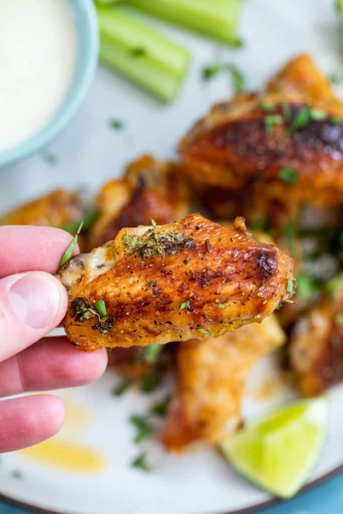 Up close chicken wing.