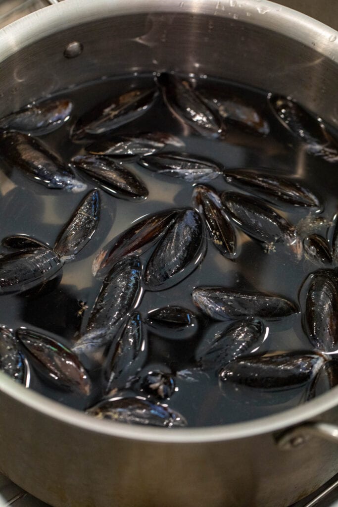 Flushing Mussels
