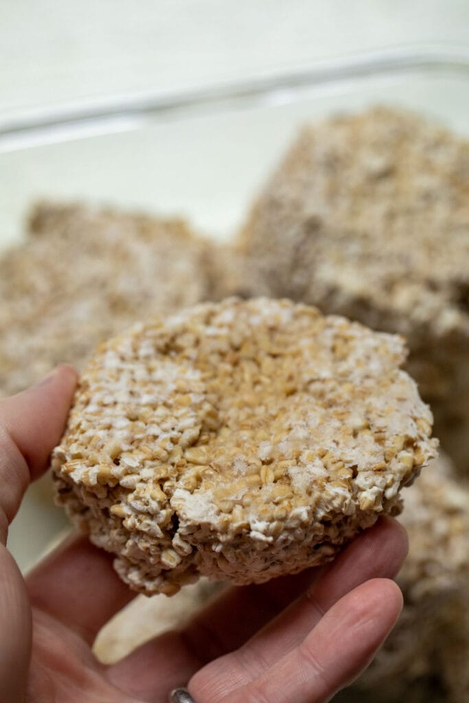 Frozen puck of oatmeal.