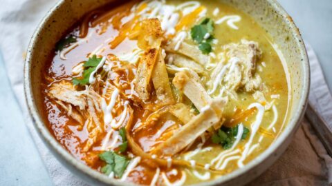 Christmas Enchilada Soup with Shredded Chicken